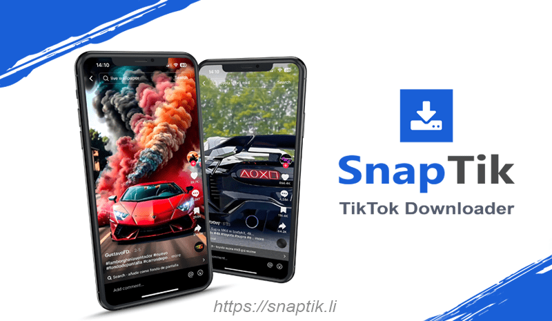 Tiktok Downloader